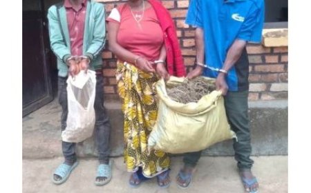 Muhanga: Abantu batatu bafatanywe urumogi