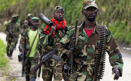Ese koko FARDC iri mu rugamba rwo kurwanya FDLR? Isesenguramakuru ku ikinamico ya leta ya RD Congo