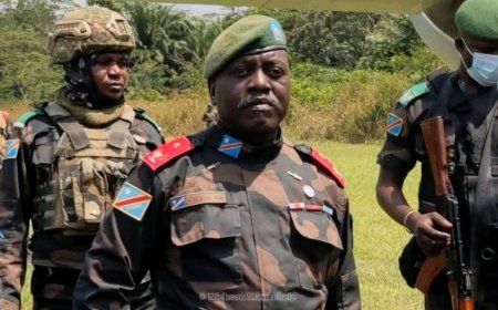 Anguko la Christian Ndaywel: Mfano wa Ukuu Ulioangukia Kwenye Utupu