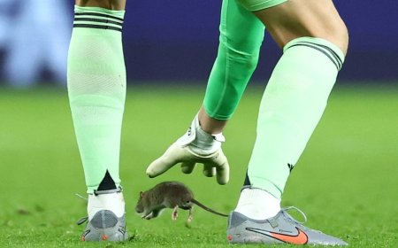 Imbeba yatumye umukino uhagarara kugeza ivuye mu kibuga [AMAFOTO]