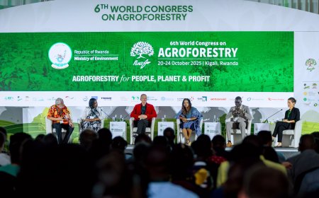 Rwanda Hosts 6th World Congress on Agroforestry to Advance Climate-Resilient Farming