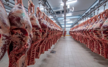 Ibiciro by’inyama z’inka muri Amerika byatumbagiye cyane