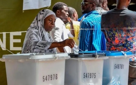 Tanzania: From Marijuana to Crocodiles, the Wild Campaign Promises Shaping East Africa’s 2025 Elections