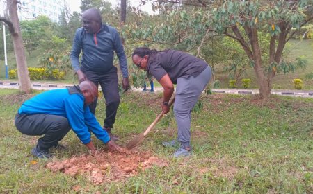 Muhima: Urubyiruko rwitabiriye umuganda wo gutera ibiti ari rwinshi birubana bike