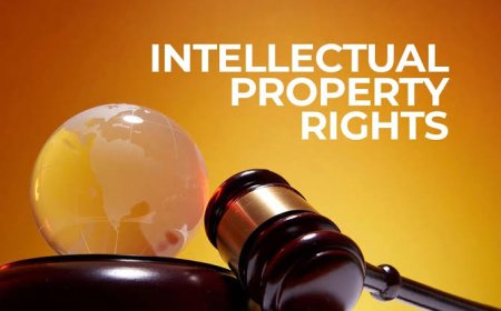 Intellectual Property Rights and Technology Transfer: Opportunities and Challenges for Developing Countries