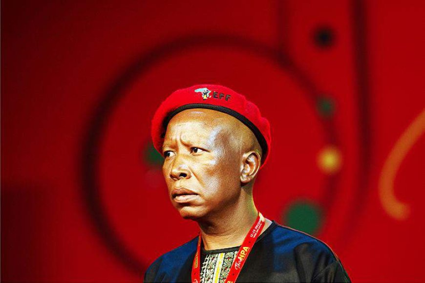 Leta ya Afurika y’Epfo yahamije Julius Malema ibyaha byo gukoresha imbunda mu buryo butemewe