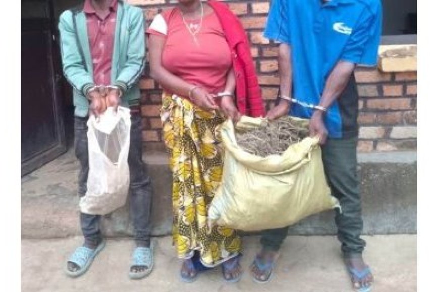 Muhanga: Abantu batatu bafatanywe urumogi