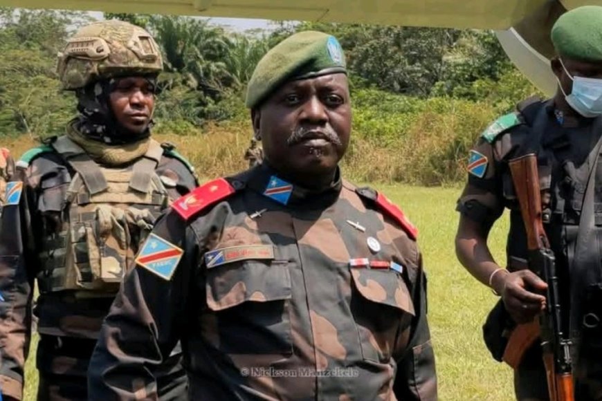 Anguko la Christian Ndaywel: Mfano wa Ukuu Ulioangukia Kwenye Utupu