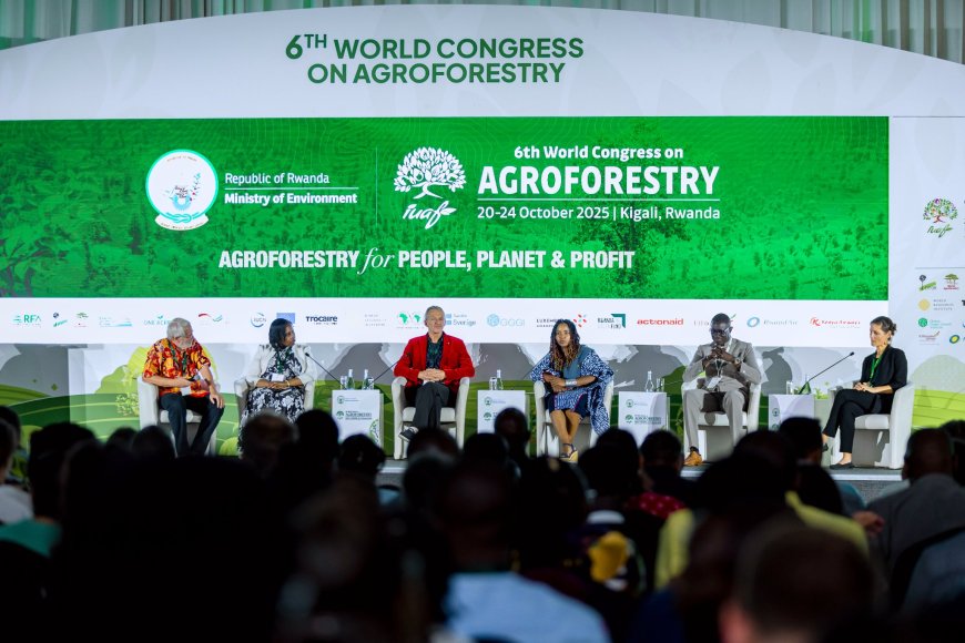 Rwanda Hosts 6th World Congress on Agroforestry to Advance Climate-Resilient Farming