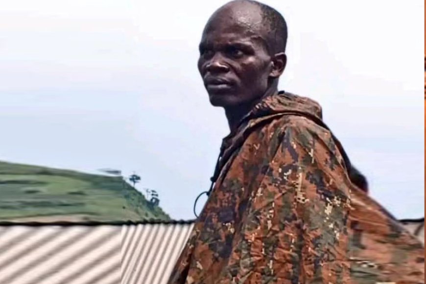 Washington Peace Talks Expose Congo’s Contradictions Over FDLR