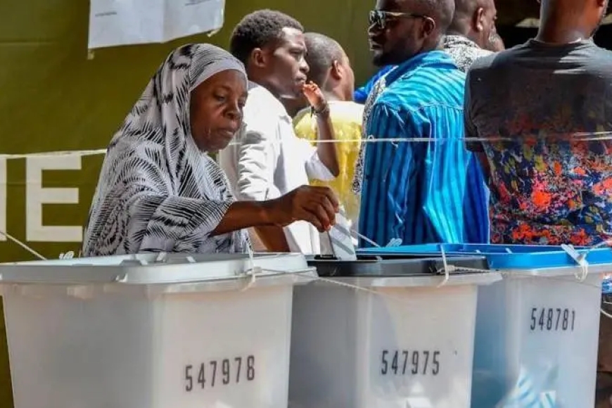 Tanzania: From Marijuana to Crocodiles, the Wild Campaign Promises Shaping East Africa’s 2025 Elections