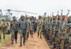 Ni ikinamico? FARDC irimo guhamagarira FDLR kwitanga ku bushake