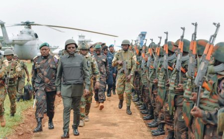 Ni ikinamico? FARDC irimo guhamagarira FDLR kwitanga ku bushake