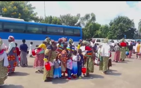 Abanyarwanda 223 batashye