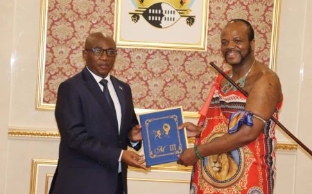 Amb. Col. (Rtd) Ndamage yashyikirije Umwami Mswati III impapuro zo guhagararira u Rwanda