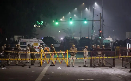 U Buhinde: Igisasu cyaturikiye mu modoka cyica abantu umunani