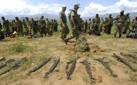 MONUSCO yohereje mu Rwanda abarwanyi ba FDLR bivugwa ko basabye gutaha ku bushake