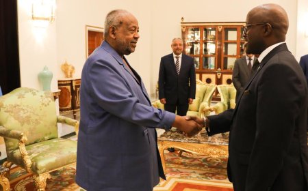 Minisitiri Nduhungirehe yakiriwe na Perezida wa Djibouti baganira ku gushimangira umubano w’ibihugu byombi