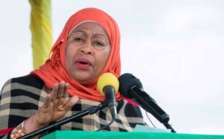 Perezida Samia arasaba ko imanza z’urubyiruko ruregwa ubugambanyi zisuzumwa neza