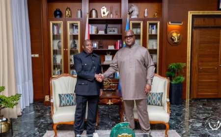 Tshisekedi yakiriye Ndayishimiye i Kinshasa baganira ku mubano wabo n’umutekano