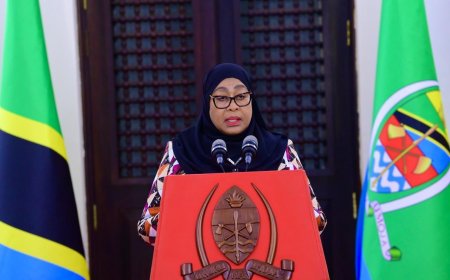Tanzania: President Samia Unveils New Cabinet, Appoints Her Daughter to Key Role