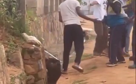 Polisi yijeje ko igiye gukurikira ikibazo cy’abanyamahanga bagaragaye mu mashusho bakubita umumotari