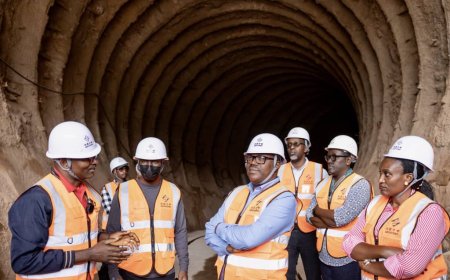 Imirimo yo kubaka urugomero rwa Nyabarongo II igeze kure