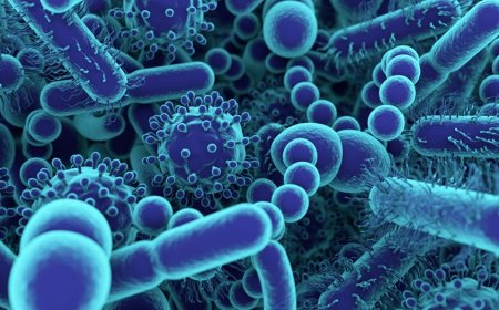 RBC yagaragaje ko hari udukoko tuba mu mubiri tutagishoboye kuvurwa n’imiti