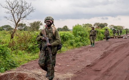 Breaking: M23 Rebels Close In on Mwenga Town in South Kivu