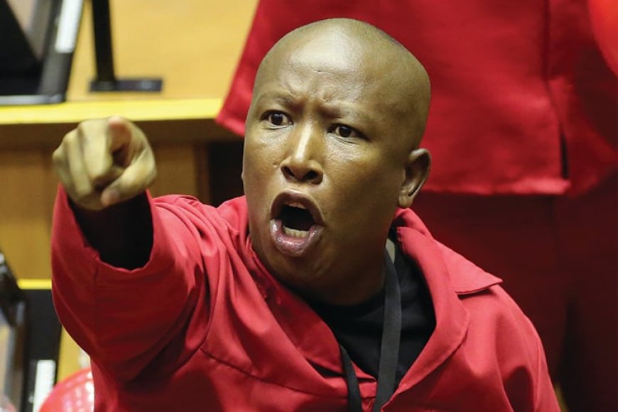 EFF Condemns Tanzania’s Election as a “Sham,” Calls for SADC Intervention