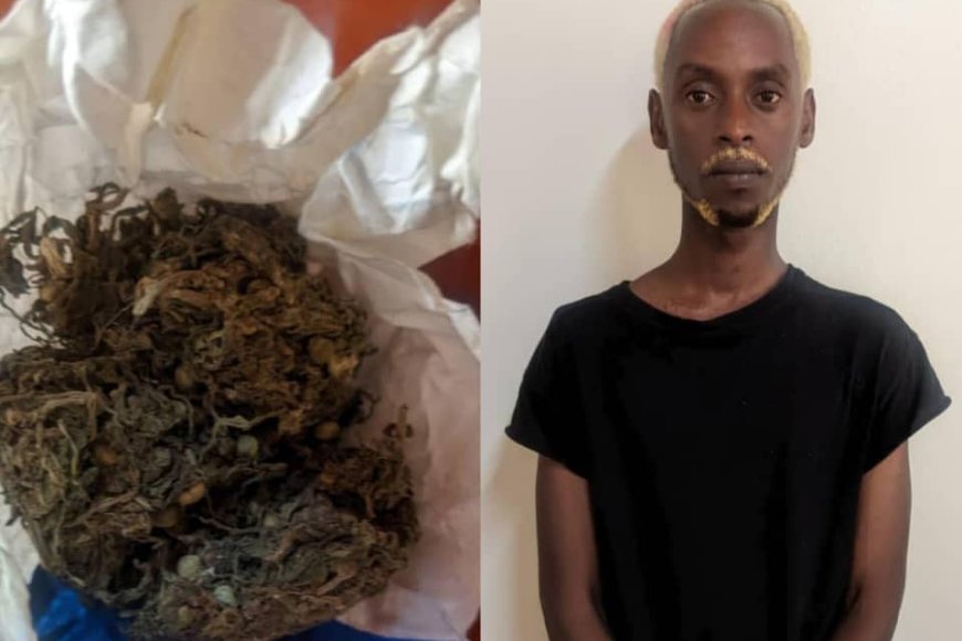 Bill Ruzima yageze i Huye mu kwivuza urumogi  (Video)