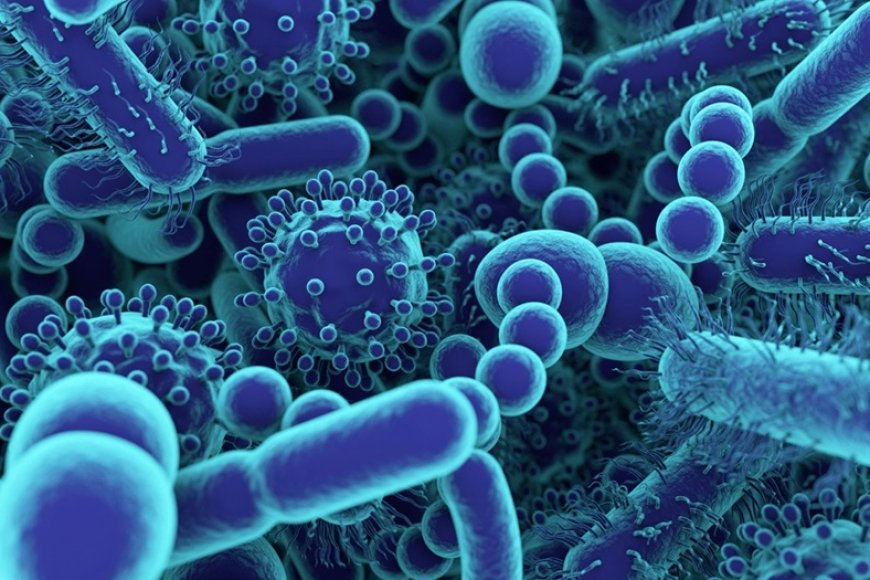 RBC yagaragaje ko hari udukoko tuba mu mubiri tutagishoboye kuvurwa n’imiti