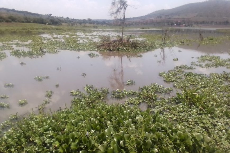 Kayonza: Umusore warohamye mu kidendezi cy'amazi yakuwemo yapfuye