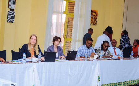 Ishusho ya ruswa mu Rwanda (Ubushakashatsi)