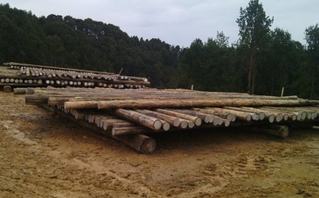 Nyamagabe: Hari abinubira urumuri rw’itoroshi kubera ikibazo cy’amashanyarazi