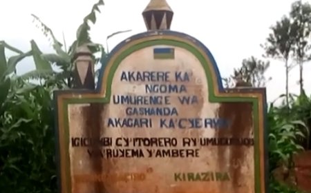 Ngoma: Abahinzi bahangayikishijwe n'udukoko twangiza imyaka yabo