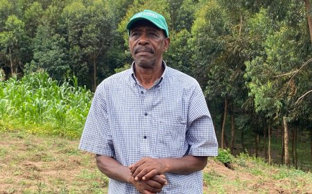 Kamonyi: Abahinzi barakirigita ifaranga nyuma yo gutererwa ibiti birwanya isuri