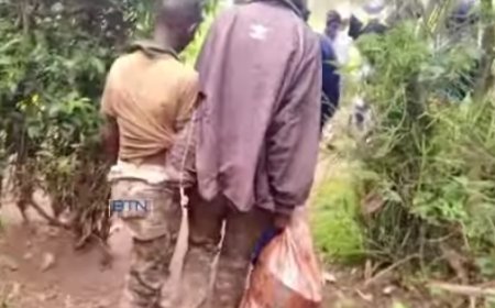 Gasabo: Abana babiri baravugwaho kwiba imbwa bakanagurisha inyama zazo