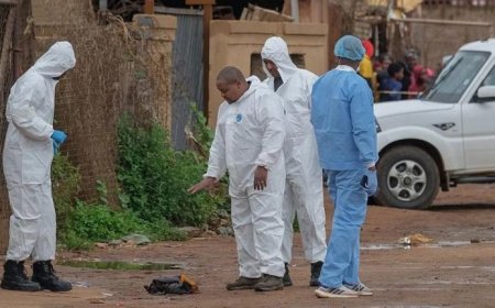 Nine People Killed in Bar Shooting Near Johannesburg, South Africa