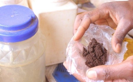 Kigali: Hari abasore n'abagabo b'abasirimu basigaye barya ubugoro