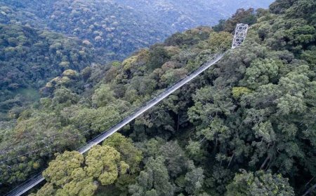 Abaturiye Pariki y’Igihugu ya Nyungwe bagiye guhabwa miliyari 1,2 Frw