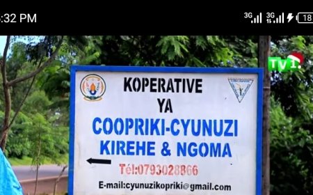 Kirehe: Abahinzi b'umuceri barataka igihombo baterwa no kutagira ubwanikiro