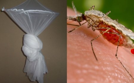 Huye: Ibura ry’inzitiramibu rikomeje kongera abandura Malaria