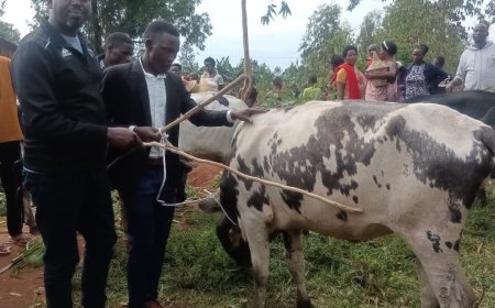 Ngoma: Imbamutima z'abahawe  inka muri Girinka bashimira Perezida Paul Kagame