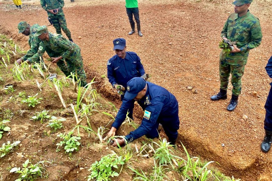 Gakenke: Inzego z’umutekano zateye ibiti 2000 bivangwa n’imyaka