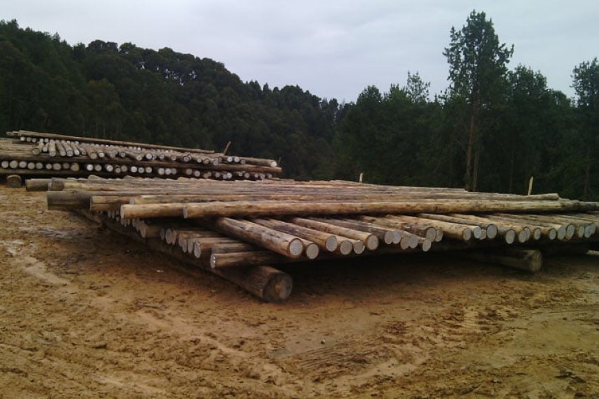 Nyamagabe: Hari abinubira urumuri rw’itoroshi kubera ikibazo cy’amashanyarazi