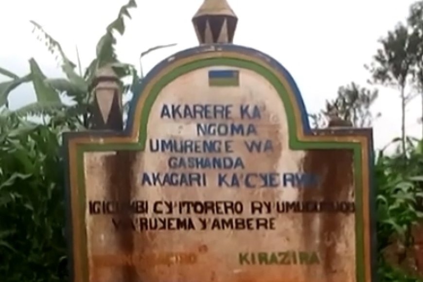 Ngoma: Abahinzi bahangayikishijwe n'udukoko twangiza imyaka yabo