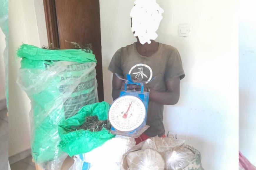 Gakenke: Yafatanywe ibiro 17 by’urumogi na litiro 14 za kanyanga mu nzu