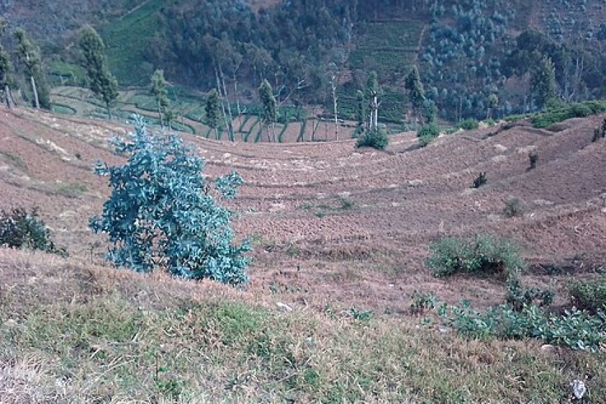 Gicumbi: Abana batatu bavukana bishwe n'igisasu batoraguye