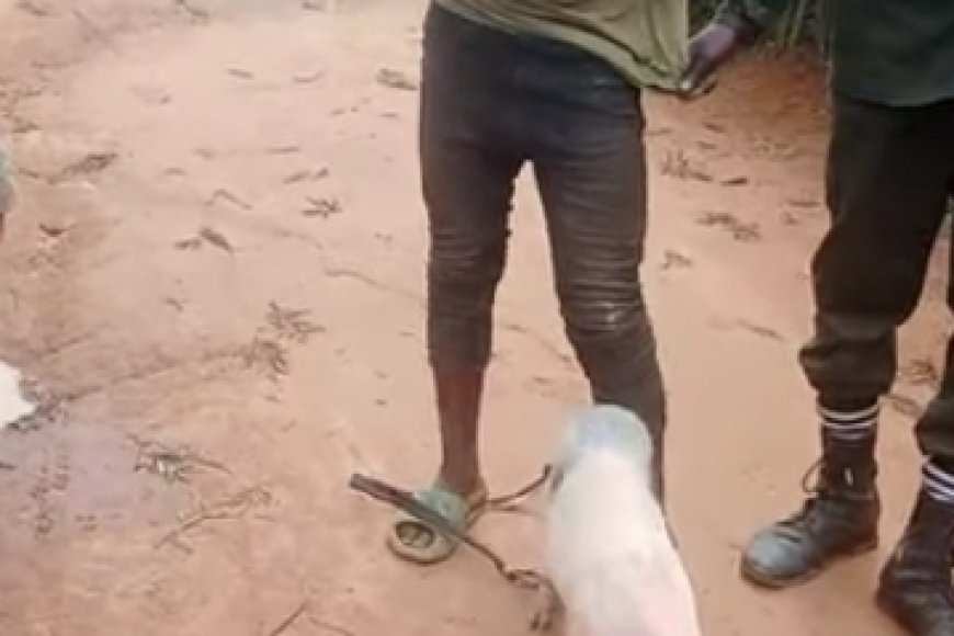 Ngoma: Umusore yabuze ubwishyu bw'inzoga yiba ingurube ya Se